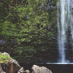 Modern Rubber Tuna thumbnail 5