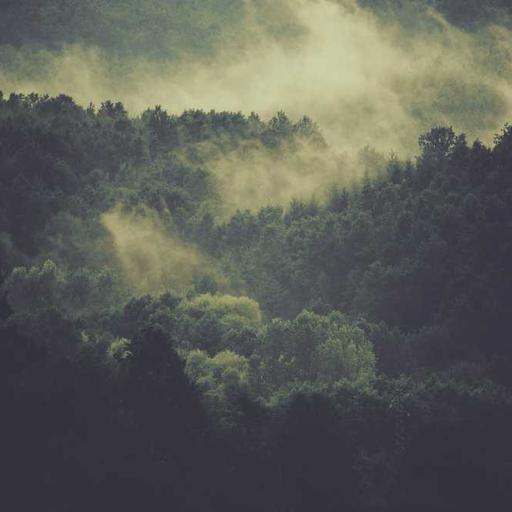 Luxurious Steel Shoes