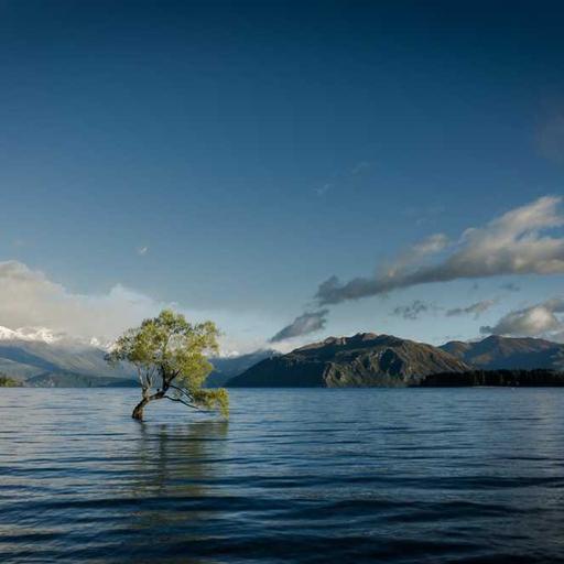 Elegant Frozen Mouse