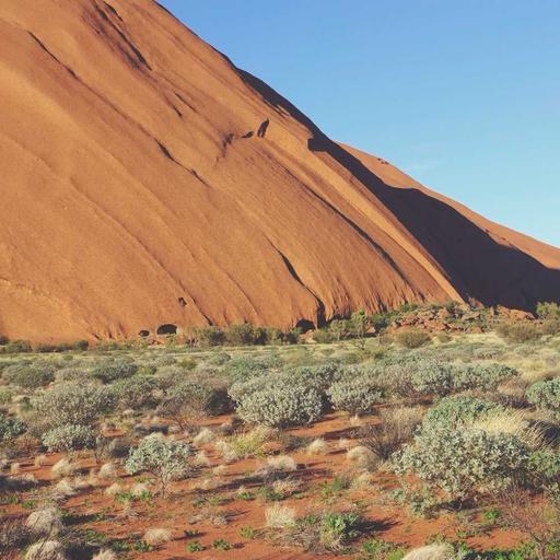 Electronic Granite Bacon