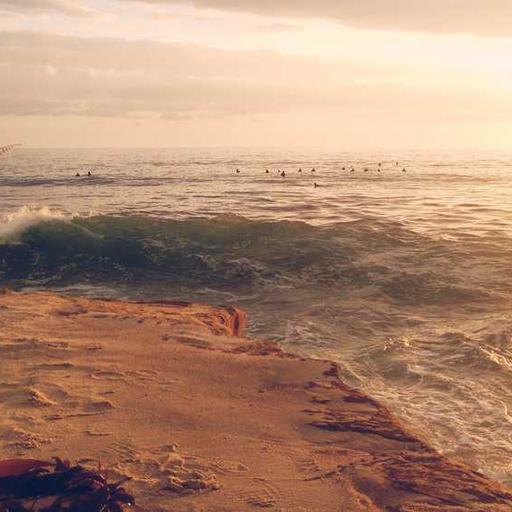 Licensed Metal Chicken