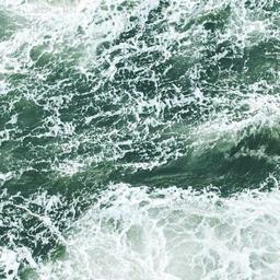 Unbranded Frozen Mouse thumbnail 4