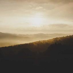 Elegant Fresh Cheese thumbnail 5