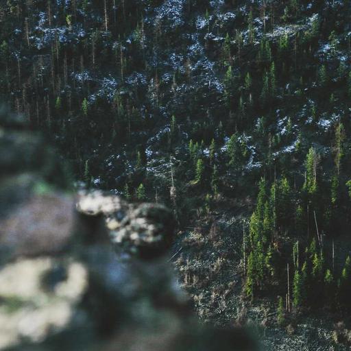 Incredible Granite Soap