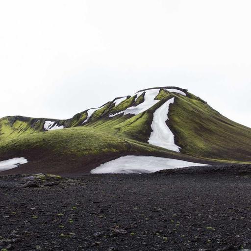 Fantastic Steel Tuna