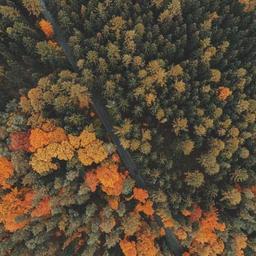 Gorgeous Wooden Chair thumbnail 5