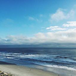 Electronic Wooden Salad thumbnail 5