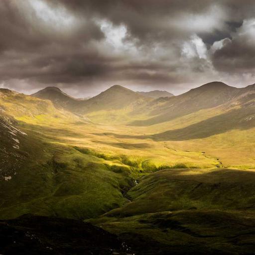 Elegant Cotton Pizza