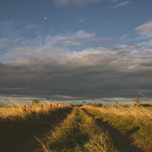 Gorgeous Metal Keyboard