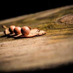 Modern Bronze Cheese thumbnail 3