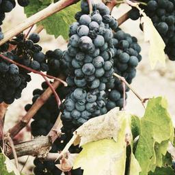 Elegant Rubber Keyboard thumbnail 5