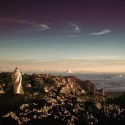 Oriental Concrete Tuna thumbnail 1