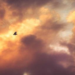 Luxurious Wooden Chicken thumbnail 5