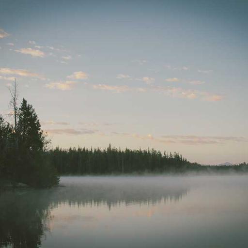 Recycled Granite Mouse