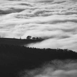 Electronic Rubber Fish thumbnail 2