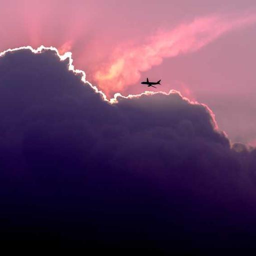 Luxurious Cotton Cheese