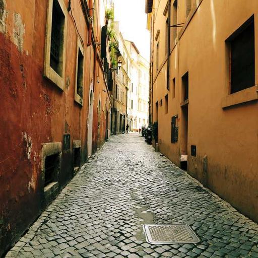 Small Plastic Chicken