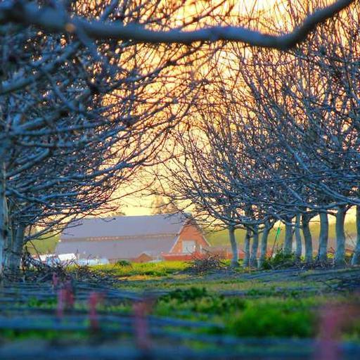 Licensed Rubber Pants