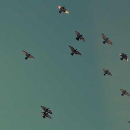 Gorgeous Wooden Table thumbnail 4