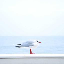 Ergonomic Cotton Soap thumbnail 3