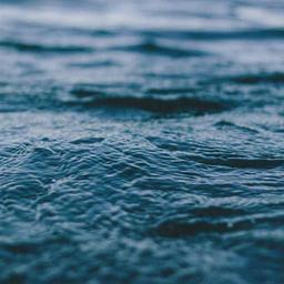 Generic Steel Cheese thumbnail 4