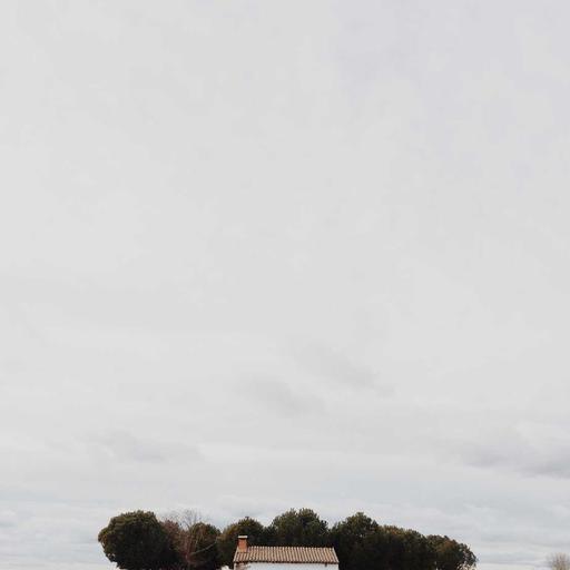 Incredible Frozen Tuna