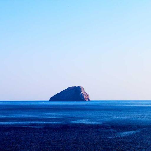 Oriental Bronze Chips