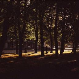 Handmade Rubber Mouse thumbnail 5