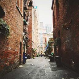 Handcrafted Cotton Bacon thumbnail 5