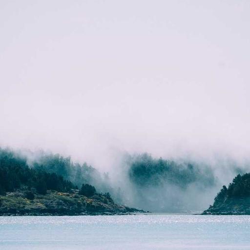 Elegant Wooden Towels