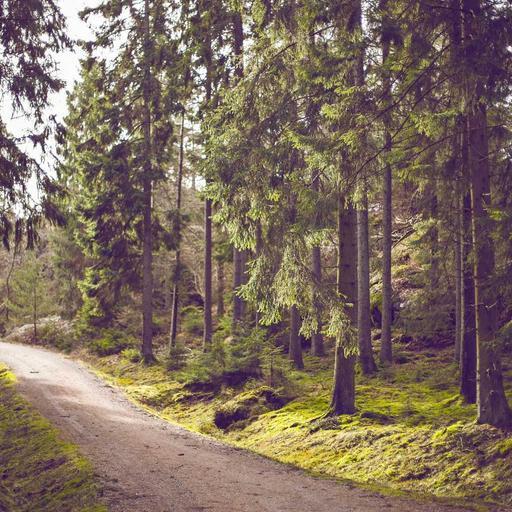 Licensed Frozen Mouse