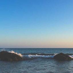 Sleek Wooden Tuna thumbnail 2