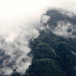 Luxurious Metal Bacon thumbnail 5