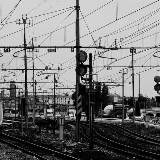 Electronic Soft Fish