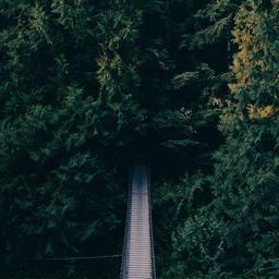 Fantastic Wooden Table thumbnail 5