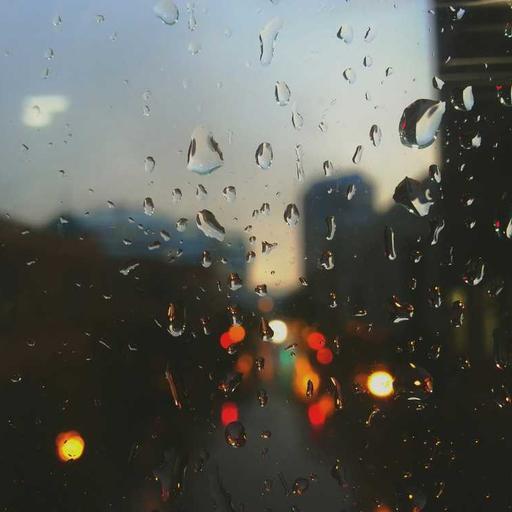 Handcrafted Bronze Chicken