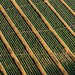 Fantastic Concrete Ball thumbnail 2