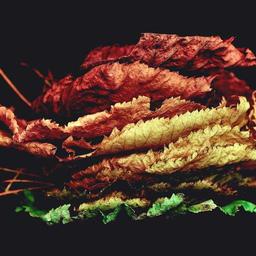 Luxurious Wooden Salad thumbnail 5