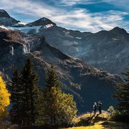 Licensed Granite Gloves thumbnail 3