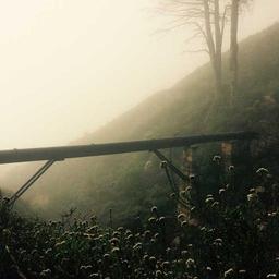 Sleek Wooden Car thumbnail 1