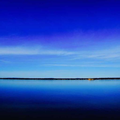 Gorgeous Cotton Shoes