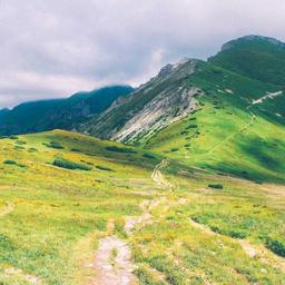 Bespoke Metal Shirt thumbnail 3