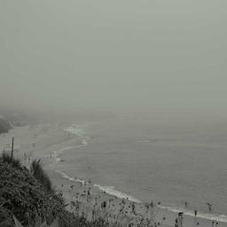 Electronic Wooden Chips thumbnail 5