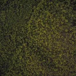 Sleek Concrete Soap thumbnail 4