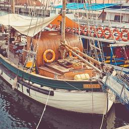 Elegant Steel Cheese thumbnail 3