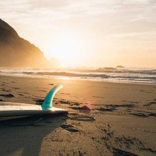 Gorgeous Cotton Chicken