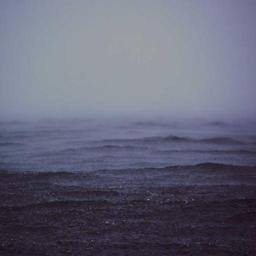 Gorgeous Bronze Pants thumbnail 2