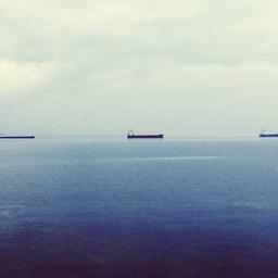 Ergonomic Bronze Cheese thumbnail 4