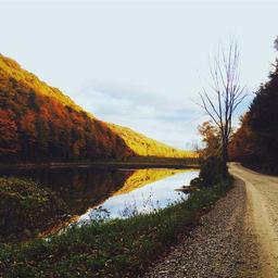 Small Soft Mouse thumbnail 3