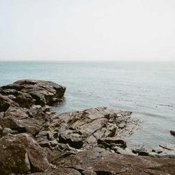 Sleek Cotton Chips thumbnail 2